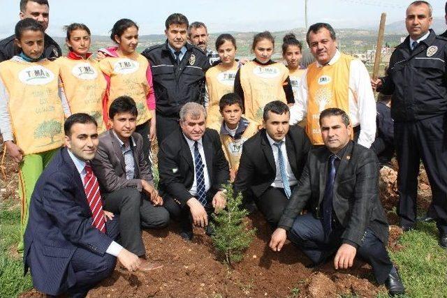 Pazarcık Tema, Polisle Fidan Dikti