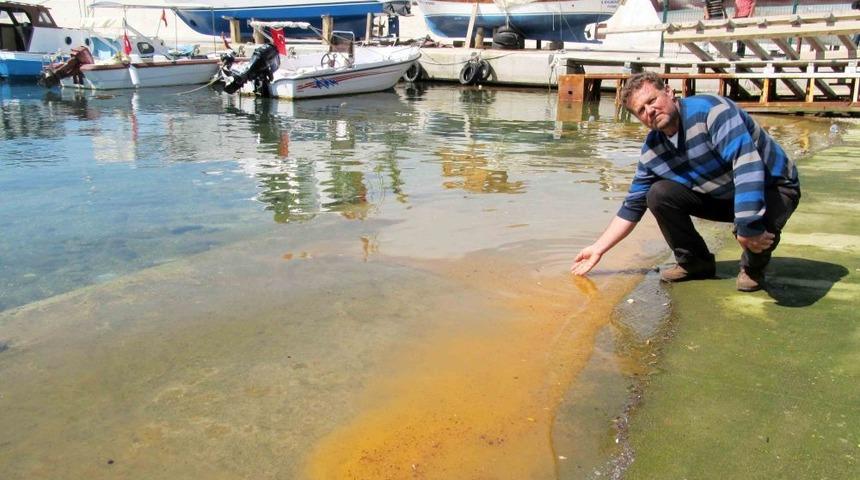 Altınoluk&rsquo;ta Denizi Balık Yumurtaları Kapladı