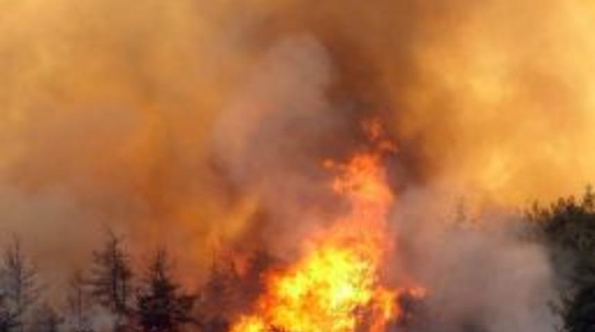 Bursa'da Orman Yangını Tedbirleri Başladı