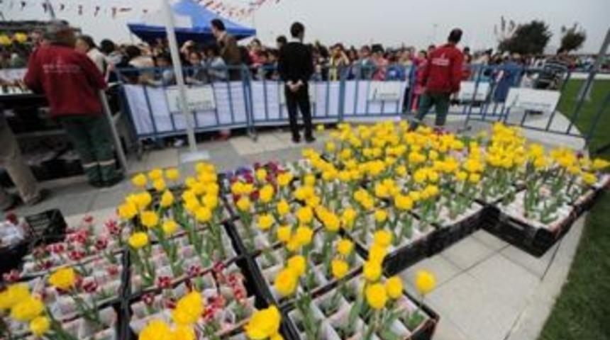 Sancaktepe&rsquo;de Lale Festivali