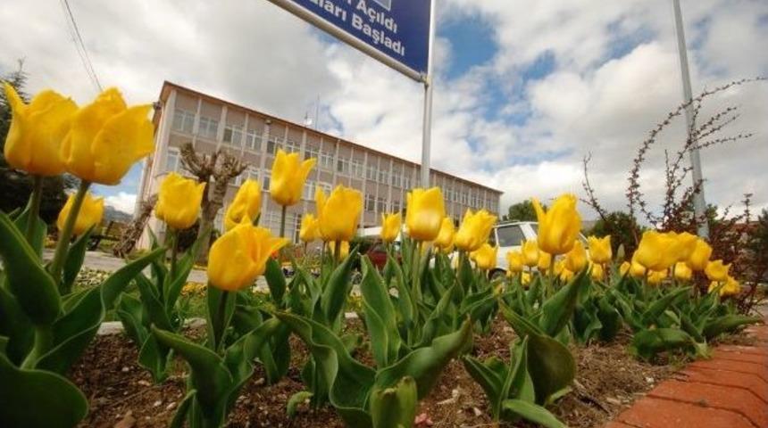 Belediye 17 Bin 250 &Ccedil;i&ccedil;ek Dikti, Gediz Botanik Bah&ccedil;esine D&ouml;nd&uuml;