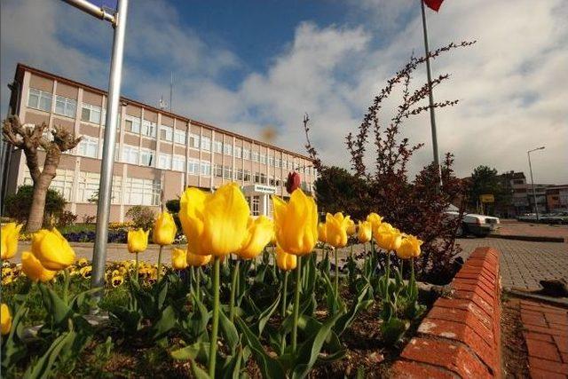 Belediye 17 Bin 250 Çiçek Dikti, Gediz Botanik Bahçesine Döndü