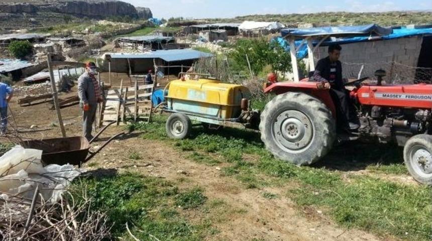 Mut'ta Larva M&uuml;cadelesi Başladı