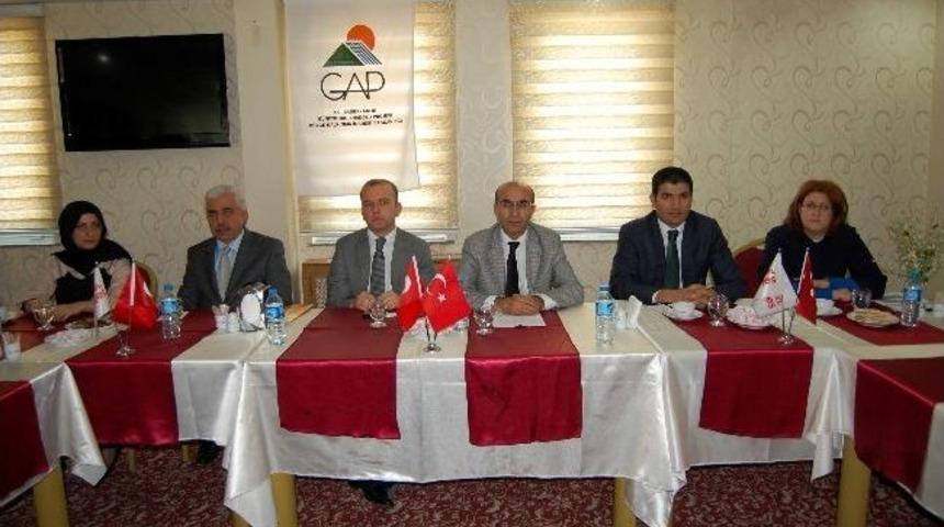 Gap Gen&ccedil; Festivalinin Taslak Programı Belli Oldu