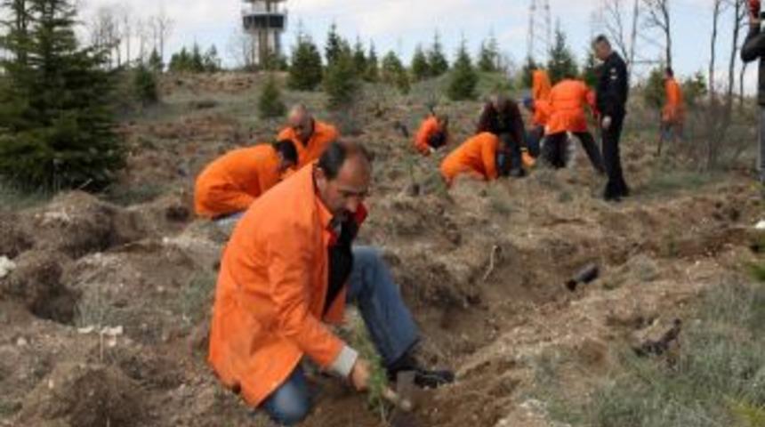 Mahkumlar Umutların Yeşermesi I&ccedil;in Fidan Dikti