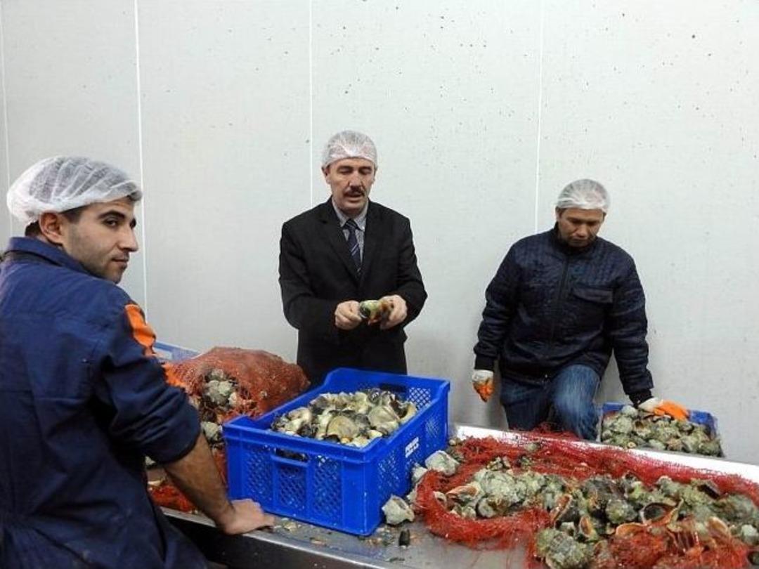 &Ouml;ğrenciler Tarımı Yerinde &Ouml;ğreniyor