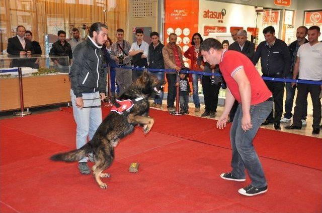 Barınak Gönüllülerden Fotoğraf Sergisi