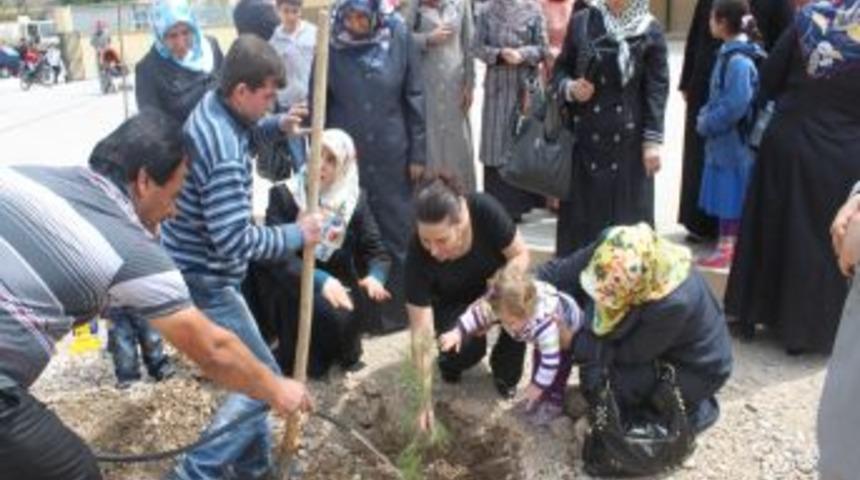 D-KADER &Uuml;yeleri Fidan Dikti