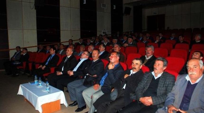 Bitlis'te Kutlu Doğum Haftası Hazırlıkları