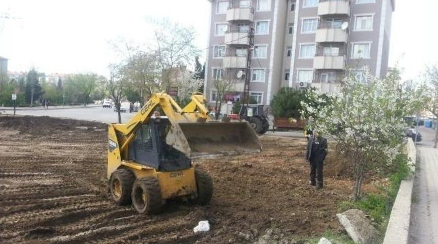 Binanın Yıkılmasının Ardından Ağa&ccedil;lar Da Dikildi