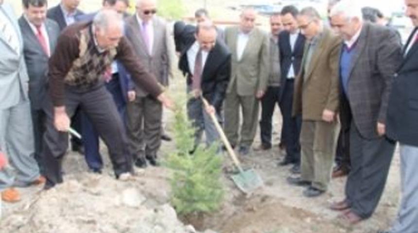 Rifat Hisarcıklıoğlu Ormanı’na fidan dikildi