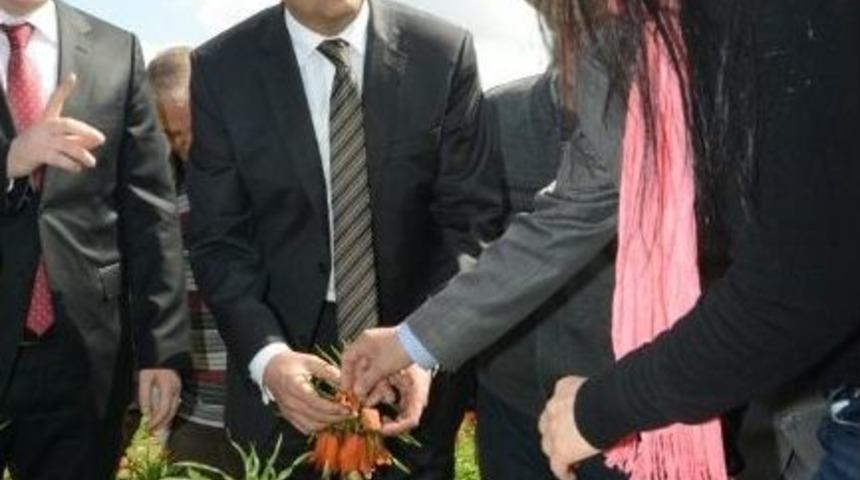 Vali Demir Ters Lale Yetiştiren Hayrettin K&ouml;y&uuml;&rsquo;ne Ziyaret Etti