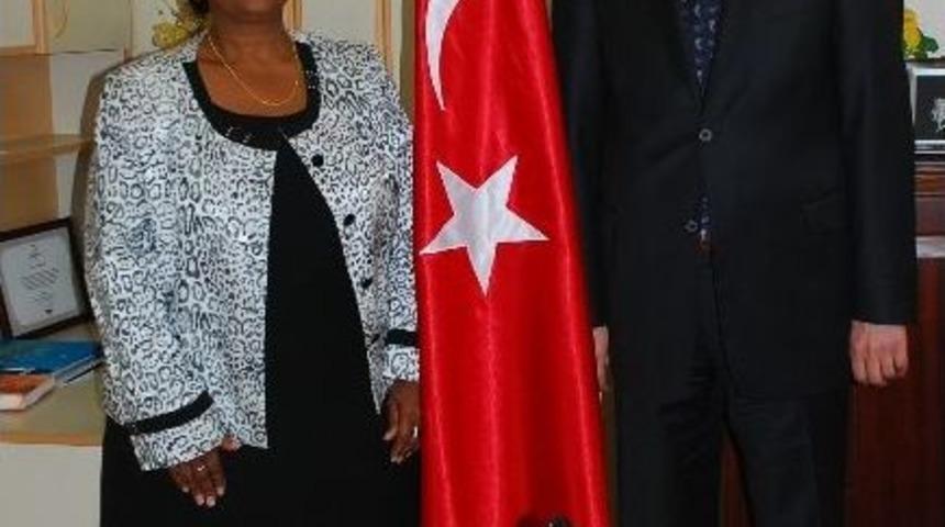 Turistlerin Bayrak Sevgisi