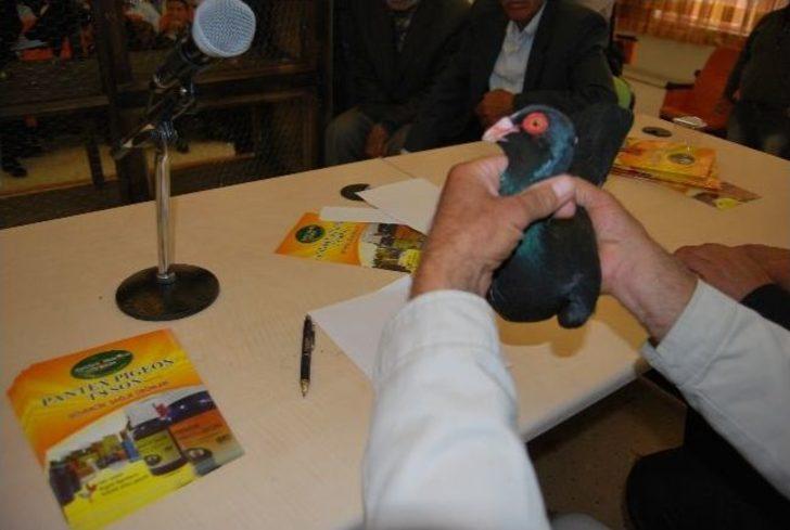 Şanlıurfa'da Güvercin Güzellik Yarışması G3