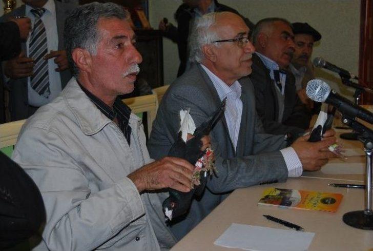 Şanlıurfa'da Güvercin Güzellik Yarışması G4
