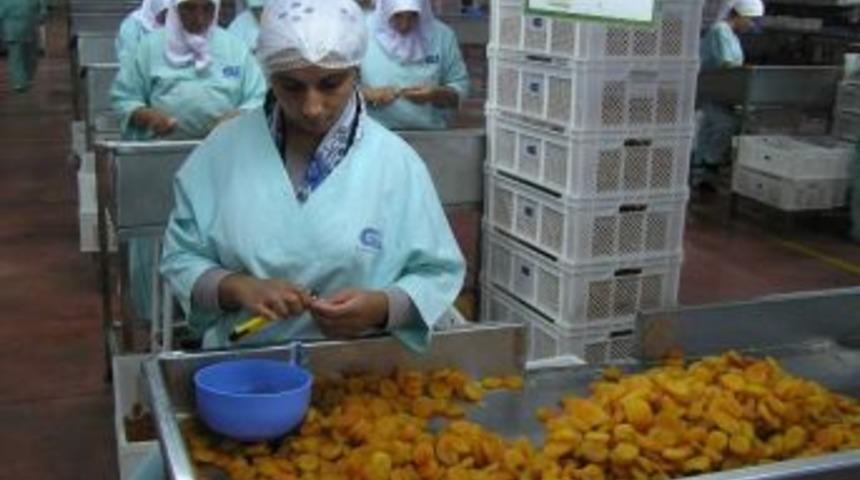 Kuru Kayısı Lisanslı Depo Tebliği Yayınlandı