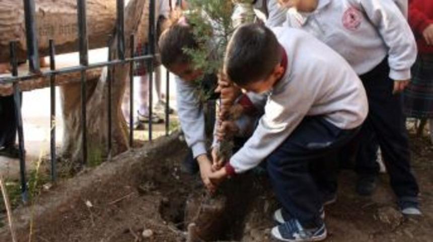 'Gen&ccedil;lerin Iyilik Ağacı' Adana'da Da B&uuml;y&uuml;yor