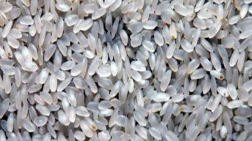 &Ccedil;lektikte Gdo İddiaları Araştırılıyor