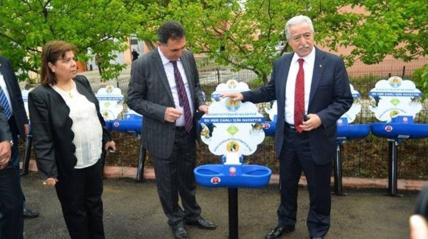 Sokak Hayvanları Susuz Kalmayacak