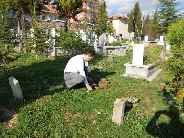 Uşak'ta Mezarlıklara Binlerce Fidan Dikiliyor