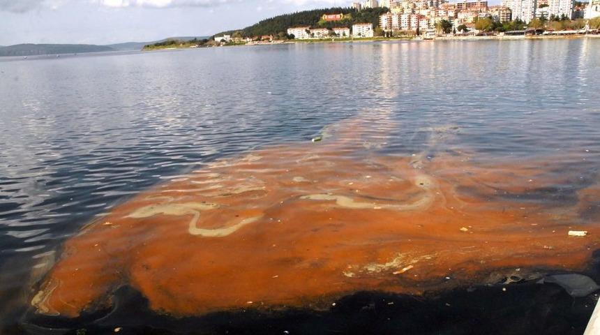 &Ccedil;anakkale'de Kanalizasyon Atığı Denizi Sarıya Boyadı