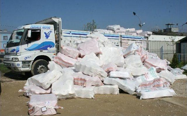 Düzce Polisi 72 Bin Paket Kaçak Sigara Ele Geçirdi