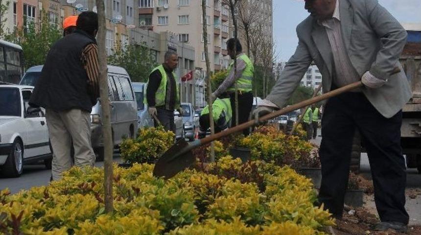Gaziantep &Ccedil;i&ccedil;eklerle G&uuml;zelleşiyor