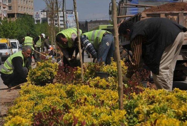 Gaziantep Çiçeklerle Güzelleşiyor