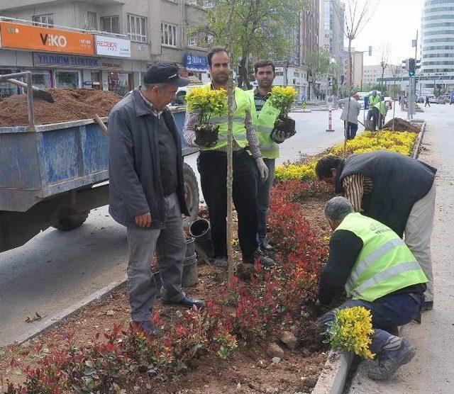 Gaziantep Çiçeklerle Güzelleşiyor