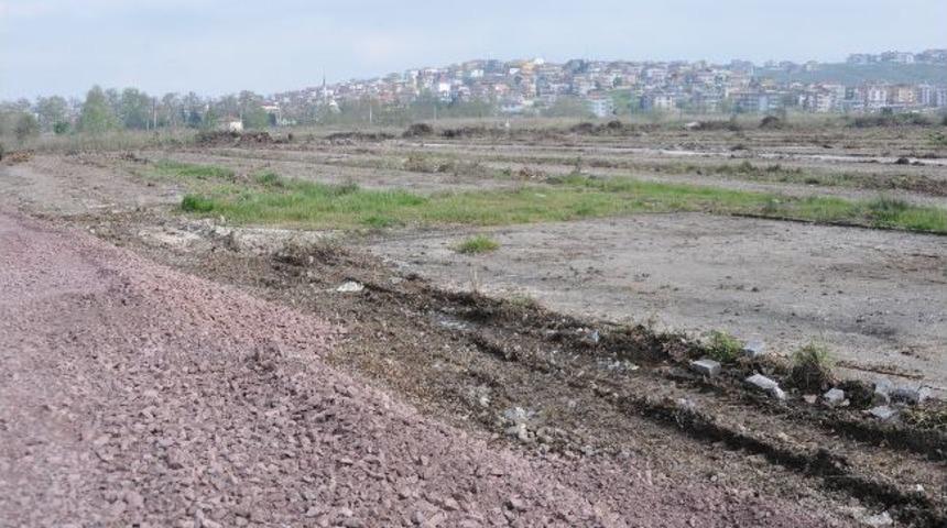 Yalova &Ccedil;i&ccedil;ek&ccedil;ilik &Uuml;ss&uuml; İ&ccedil;in &Ccedil;alışmalara Başlandı