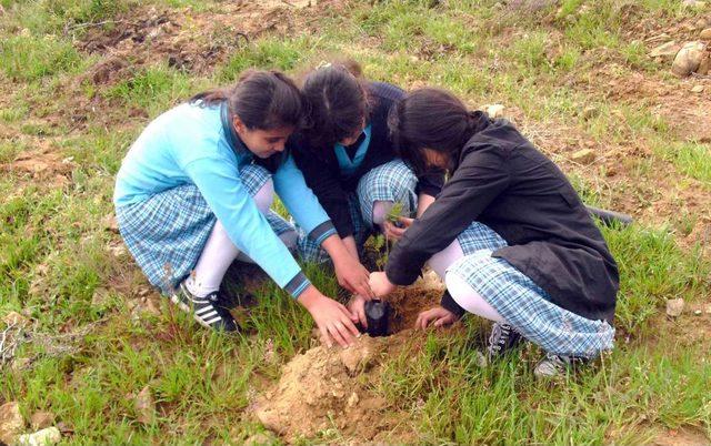 Bahar Koleji Öğrencileri 250 Fidan Dikti