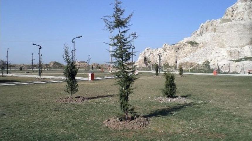 Van Belediyesi&rsquo;nden Yeşillendirme &Ccedil;alışması