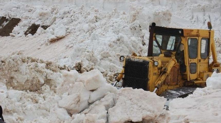Bitlis&rsquo;te Karla M&uuml;cadele &Ccedil;alışması
