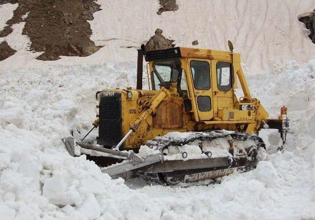 Bitlis’te Karla Mücadele Çalışması