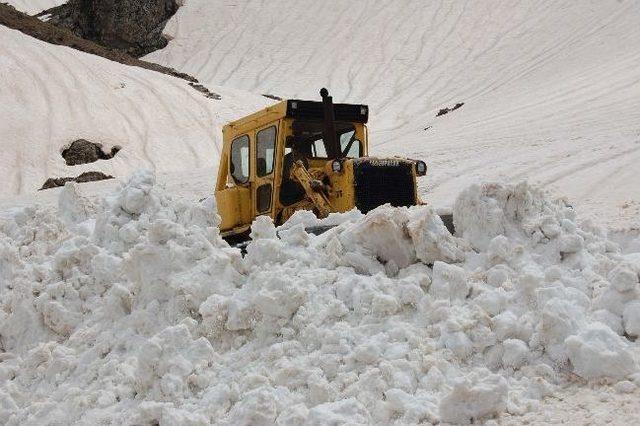 Bitlis’te Karla Mücadele Çalışması