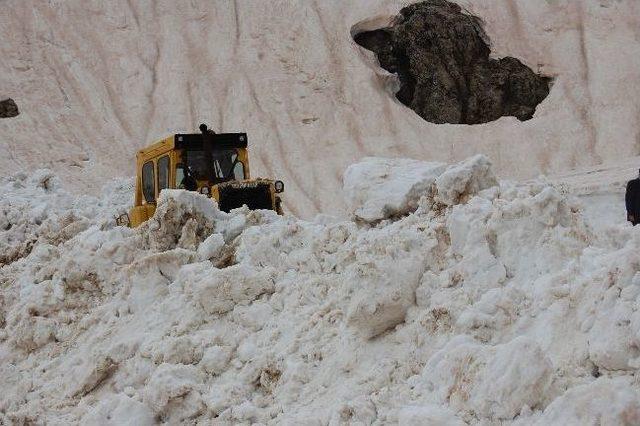 Bitlis’te Karla Mücadele Çalışması