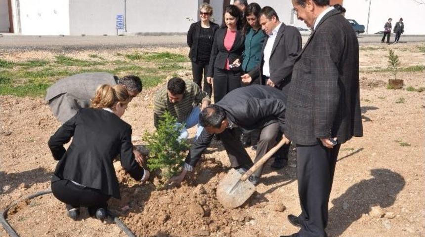 Adıyaman &Uuml;niversitesi Akademik Ve İdari Personeli Fidan Dikti