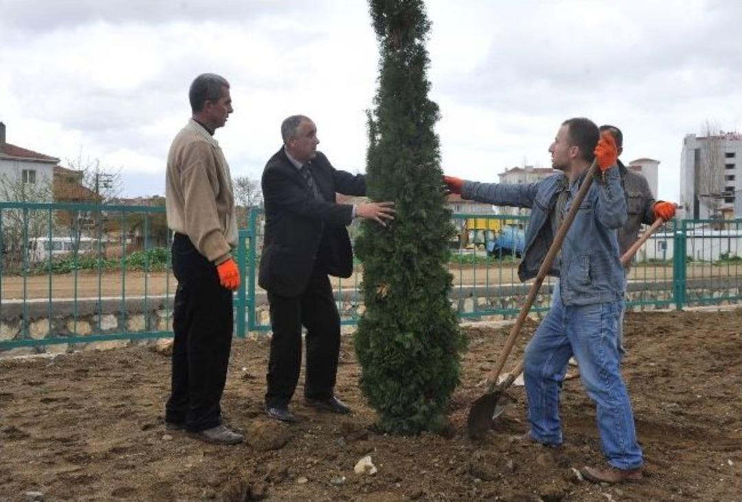 Cezalarını Fidan Dikerek &Ccedil;ekiyorlar