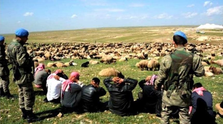 4 Bin K&uuml;&ccedil;&uuml;kbaş Ka&ccedil;ak Hayvan Ele Ge&ccedil;irildi, 84 Kişi G&ouml;zaltında