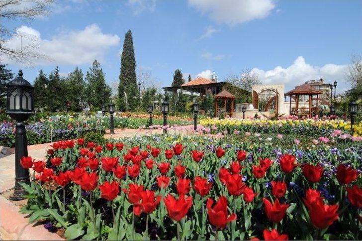 Gaziantep Dev Bir Botanik Bahçesi Gibi - Gaziantep Haberleri