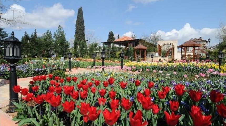 Gaziantep Dev Bir Botanik Bah&ccedil;esi Gibi
