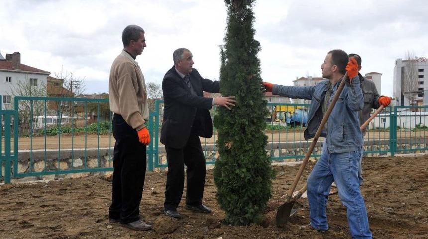 H&uuml;k&uuml;ml&uuml;ler, Fidan Dikerek Il&ccedil;eyi Yeşillendiriyor