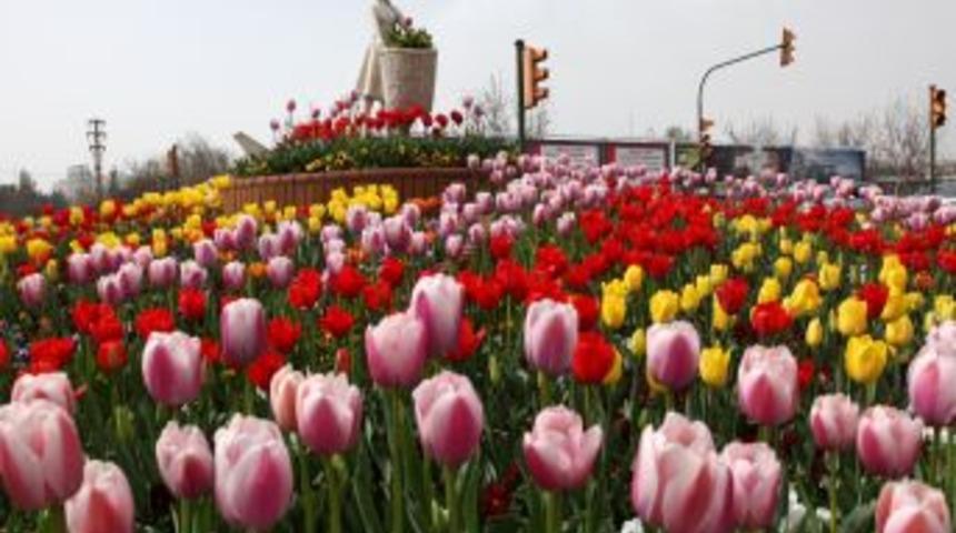 Gaziantep 2 Milyon 300 Bin &Ccedil;i&ccedil;ekle Renklenecek