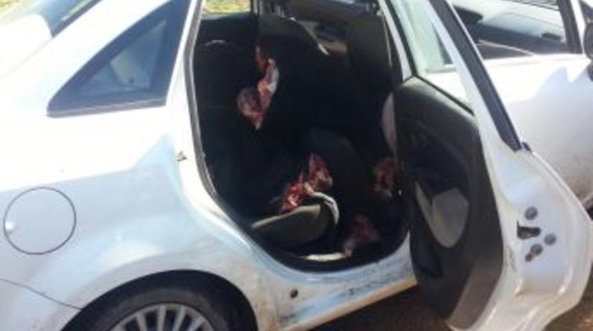 Otlayan Hayvanları &Ouml;ld&uuml;r&uuml;p Etlerini Kasaba Satanlar Tutuklandı