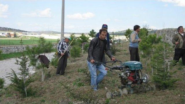 Mezarlıklarda Bahar Bakımı