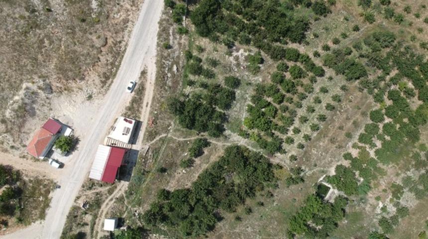 Göç veren 'Bayır'ın kaderi kirazla değişti