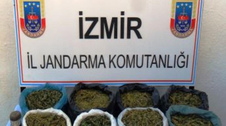 Jandarmadan Uyuşturucu Operasyonu