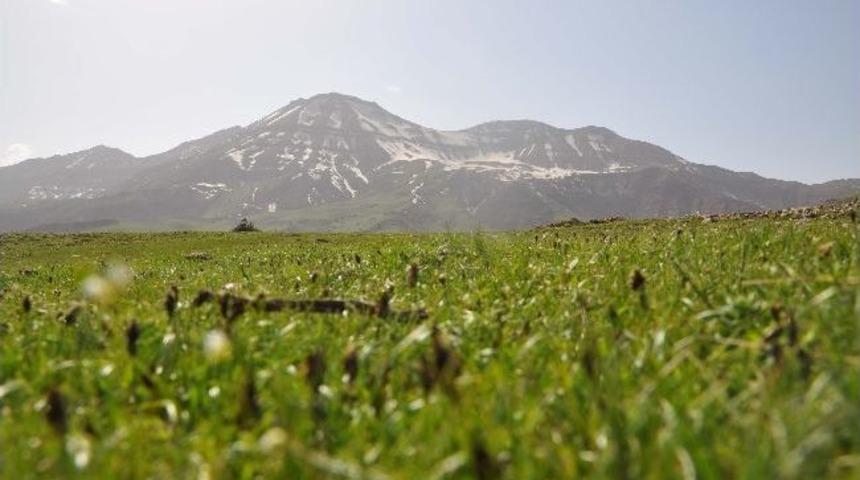 &Ccedil;atışma B&ouml;lgesinde Piknik Keyfi