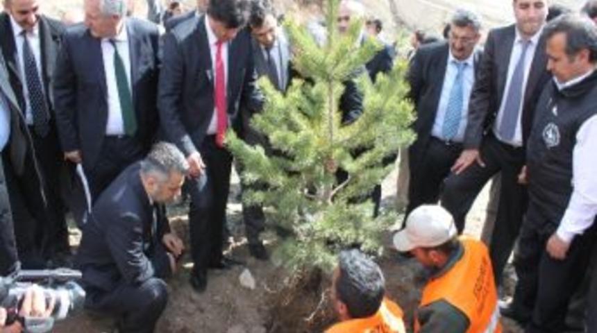 Hasan Dede&rsquo;ye 4 Milyon Fidan