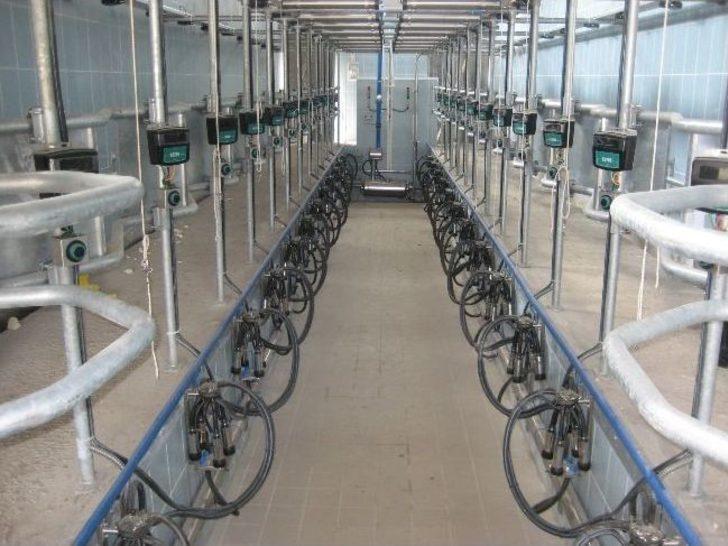 Düzce İl Gıda Tarım Ve Hayvancılık İl Müdürlüğü Mart Ayını Dolu Dolu Geçirdi G3